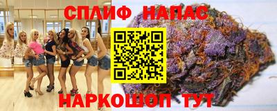 Альфа ПВП Можга