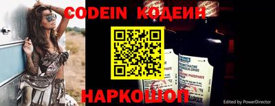 Альфа ПВП Можга