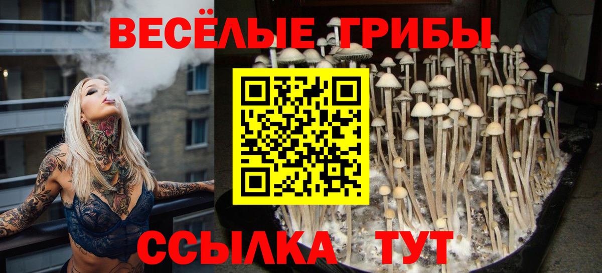 Гулькевичи  Галлюциногенные грибы Cubensis  Вход с VPN  Галлюциногенные грибы мухоморы 