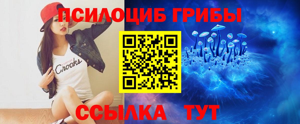 Галлюциногенные грибы Psilocybine cubensis Гулькевичи